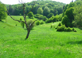 Бюкк Национальный Парк, Венгрия, фото № 70075 – фотографии Венгрии