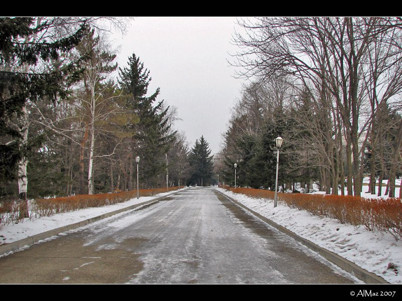 Улица в Шмаковке, Россия – фотографии России