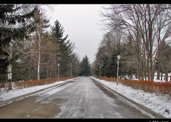 Улица в Шмаковке, Россия – фотографии России