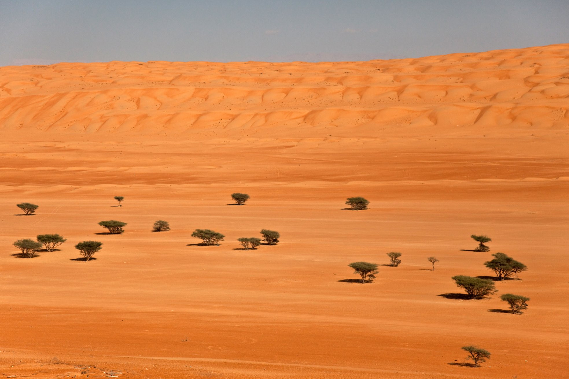 Вахиба Сэндс, Оман, фото № 77968 – фотографии Омана