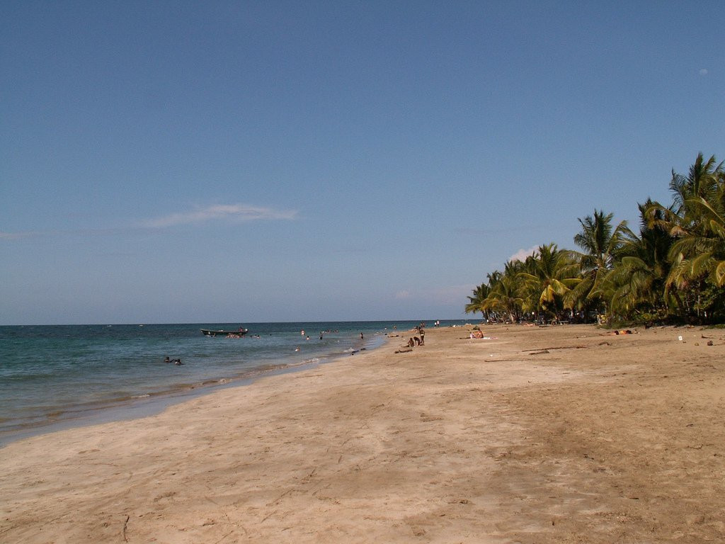 Манзанилло, Лимон провинция, Коста-Рика, фото № 40129 – фотографии Коста-Рики