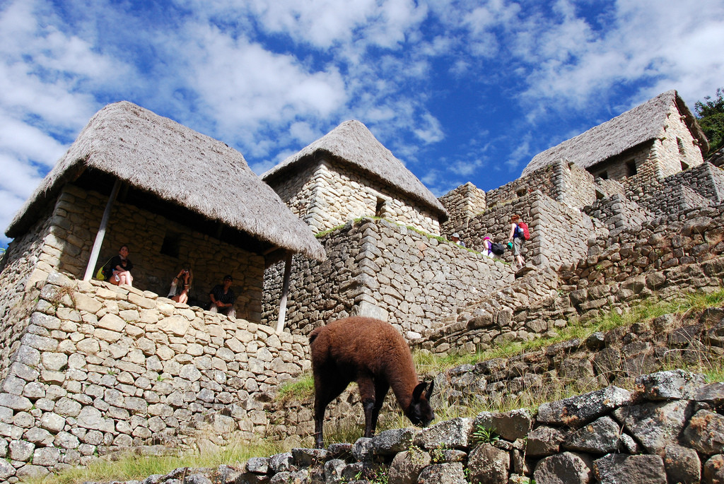 Завтрак в Мачу-Пикчу – фотографии Перу