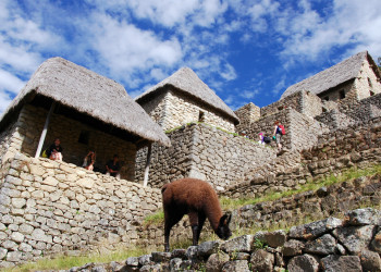 Завтрак в Мачу-Пикчу – фотографии Перу