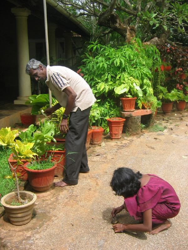 Джафна, Шри-Ланка, фото № 51117 – фотографии Шри-Ланки