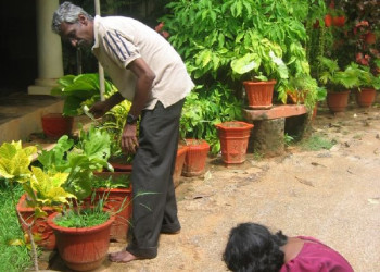 Джафна, Шри-Ланка, фото № 51117 – фотографии Шри-Ланки