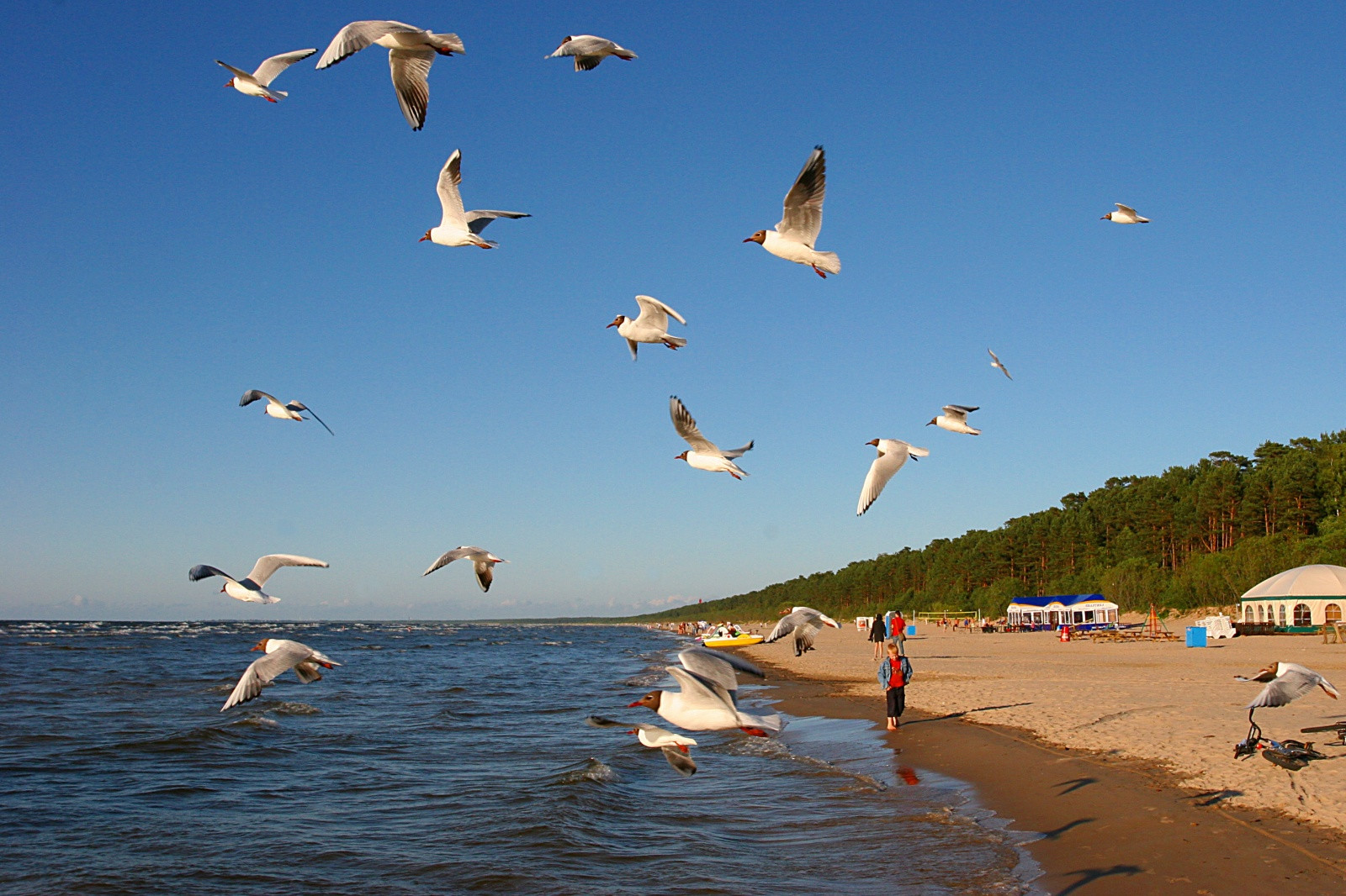 Пляжи курортной Юрмалы – фотографии Латвии