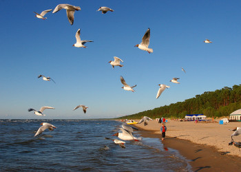 Пляжи курортной Юрмалы – фотографии Латвии