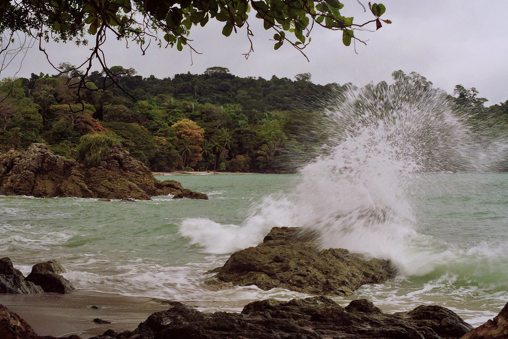 Мануэль Антонио Национальный Парк, Пунтаренас провинция, Коста-Рика, фото № 40655 – фотографии Коста-Рики