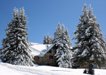 Природа в Пампорово, Болгария. Фото 1 – фотографии Болгарии