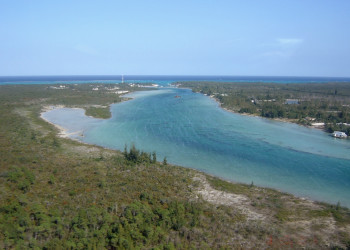 Природа на острове Андрос, Багамские острова – фотографии Багамских островов