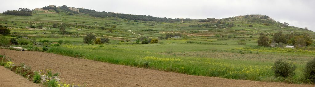 Аура-Буджибба, Мальта остров, Мальта, фото № 41980 – фотографии Мальты