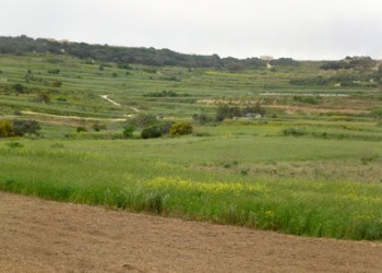 Аура-Буджибба, Мальта остров, Мальта, фото № 41980 – фотографии Мальты