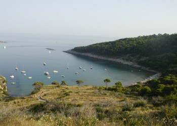 Берега на острове Лопуд, Хорватия. Фото 8 – фотографии Хорватии