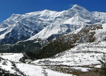 Аннапурна заповедник, Непал, фото № 78878 – фотографии Непала