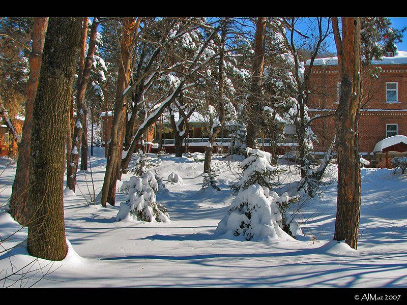 Зима в Шмаковке, Россия. Фото 1 – фотографии России