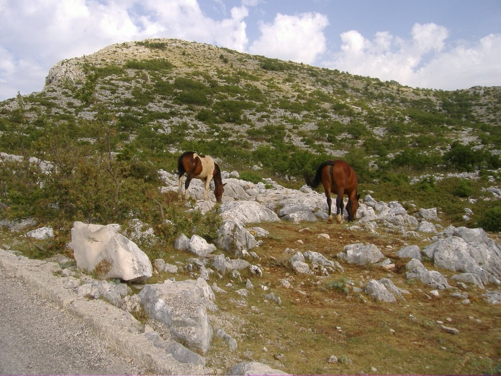 Природный парк в Биоково, Хорватия. Фото 2 – фотографии Хорватии