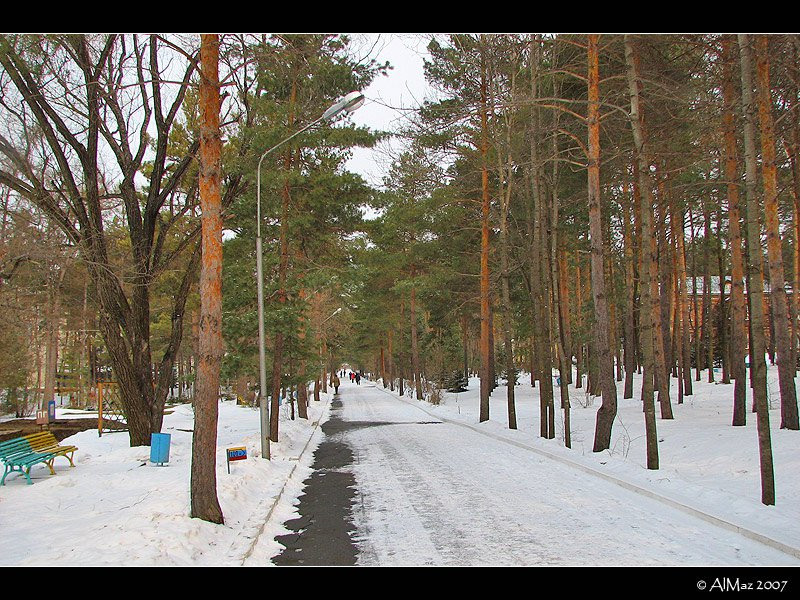 Парк в Шмаковке, Россия. Фото 7 – фотографии России
