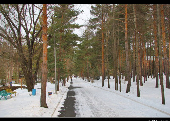 Парк в Шмаковке, Россия. Фото 7 – фотографии России