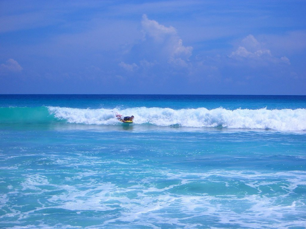 Остров Альфонс. Фото 4 – фотографии Сейшельских островов