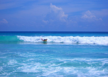 Остров Альфонс. Фото 4 – фотографии Сейшельских островов