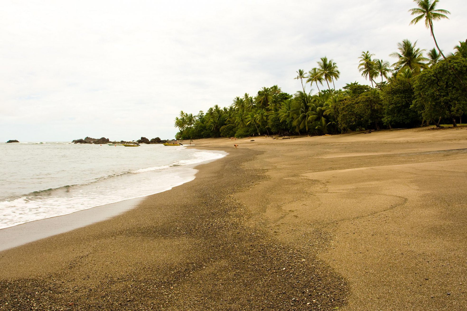 Плайя Сан Хосекито, Пунтаренас провинция, Коста-Рика, фото № 40930 – фотографии Коста-Рики