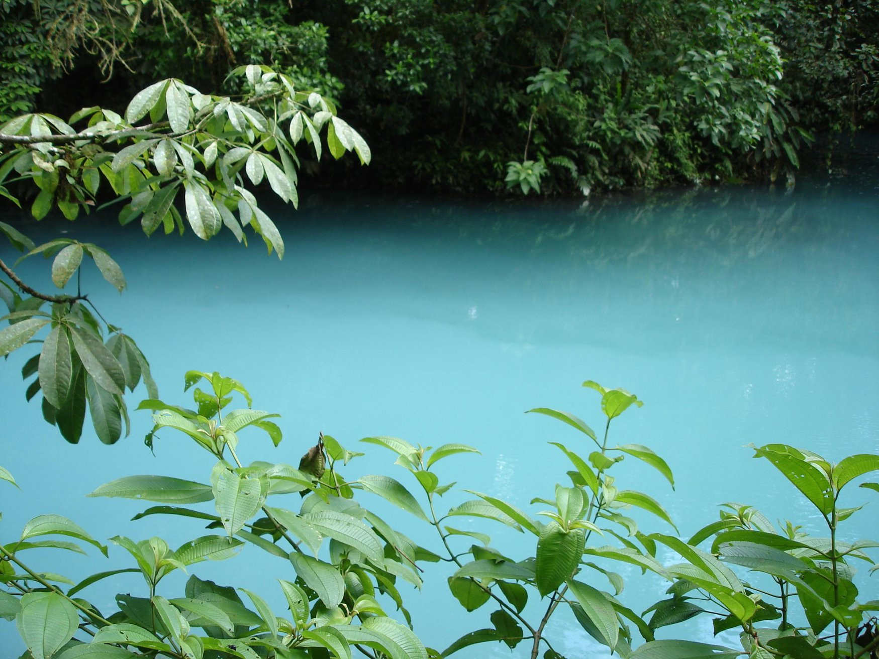 Коста-Рика, фото № 813 – фотографии Коста-Рики