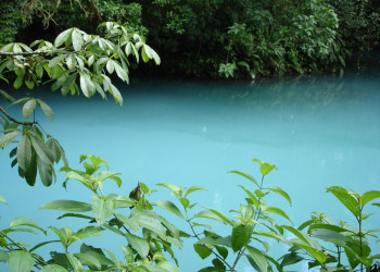 Коста-Рика, фото № 813 – фотографии Коста-Рики