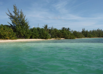 Природа острова Эльютера, Багамские острова. Фото 5 – фотографии Багамских островов