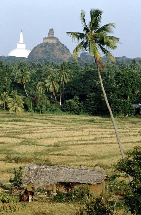 Анурадхапура, Шри-Ланка, фото № 50511 – фотографии Шри-Ланки