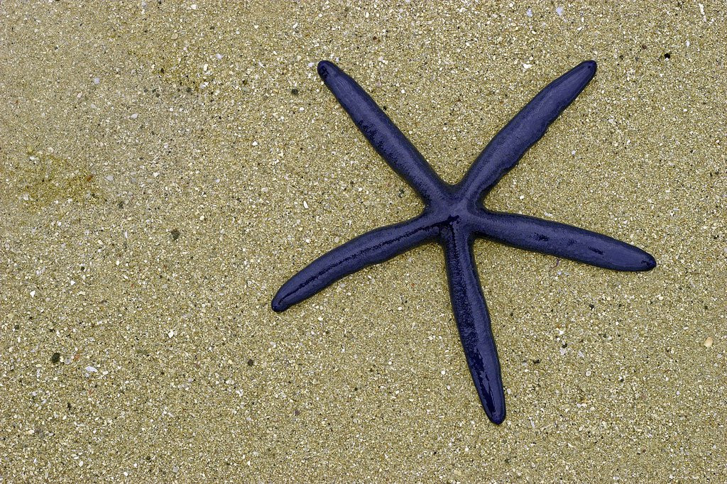 Нукубати остров, Вануа Леву группа островов, Фиджи, фото № 49327 – фотографии Фиджи