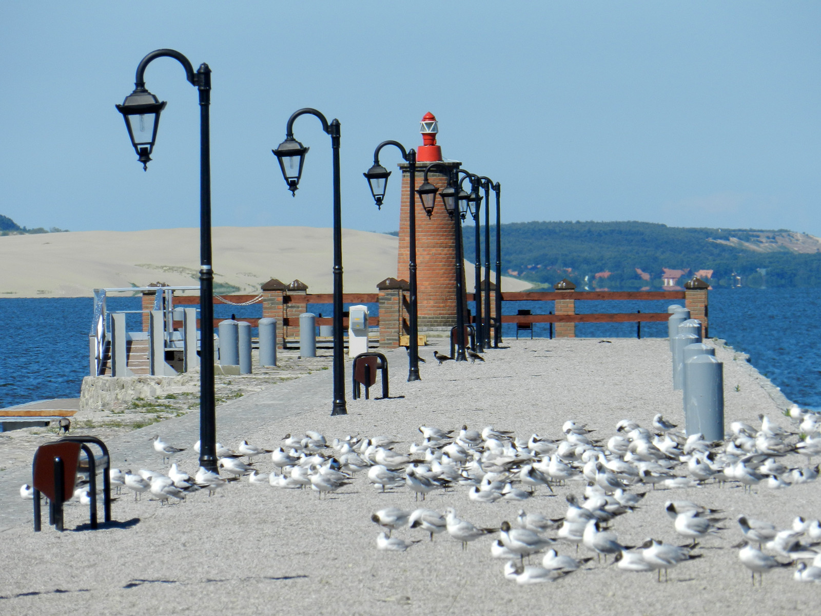 Куршская коса (Curonian Spit). Фото 3 – фотографии России