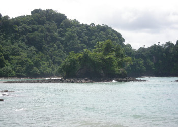 Мануэль Антонио, Пунтаренас провинция, Коста-Рика, фото № 40616 – фотографии Коста-Рики