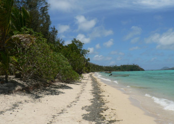 Тавева остров, Ясава группа островов, Фиджи, фото № 50324 – фотографии Фиджи