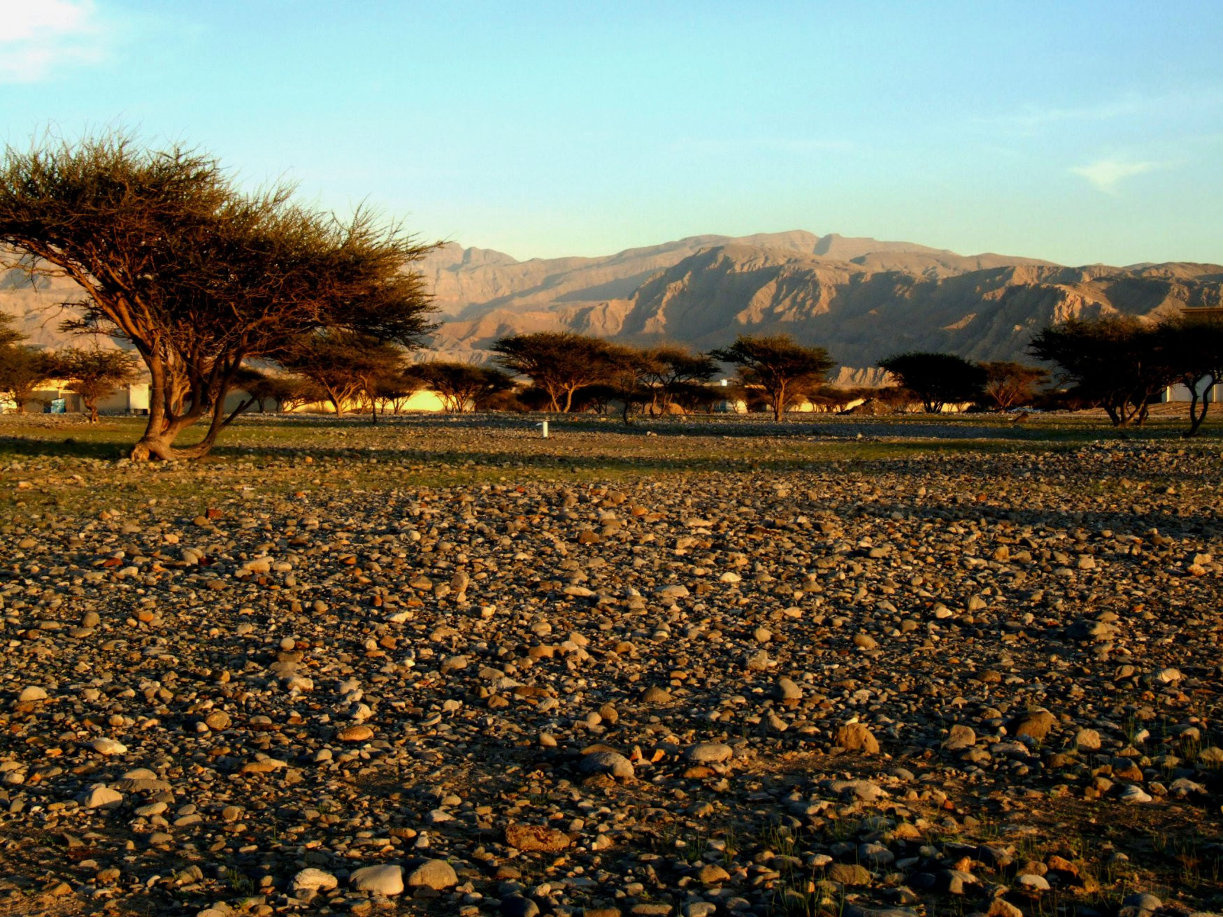 Рас-аль-Хайма, ОАЭ, фото № 61073 – фотографии ОАЭ