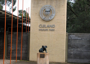 Парк дикой природы Клиланд – фотографии Австралии