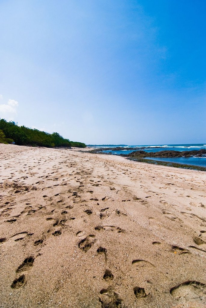 Плайя Лангоста, Гуанакасте провинция, Коста-Рика, фото № 39579 – фотографии Коста-Рики