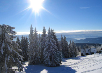 Рогла, Словения, фото № 57510 – фотографии Словении