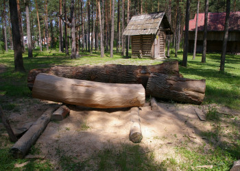 Музей Лесное Эхо (Girios aidas) (8) – фотографии Литвы