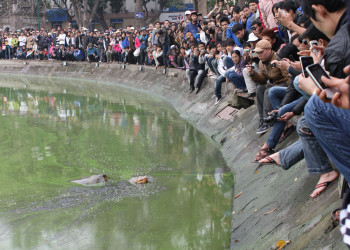 Народ ждет появления священной черепахи из вод озера – фотографии Вьетнама
