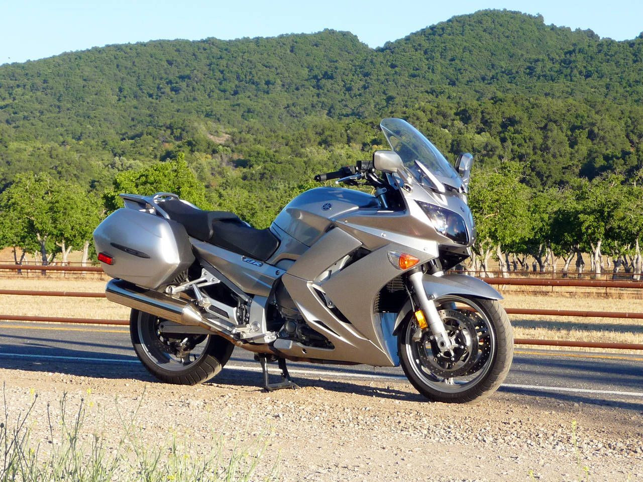 Мой конь – фотографии России