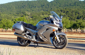 Мой конь – фотографии России