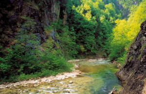 Горная река. Калькальпен. Австрия – фотографии Австрии