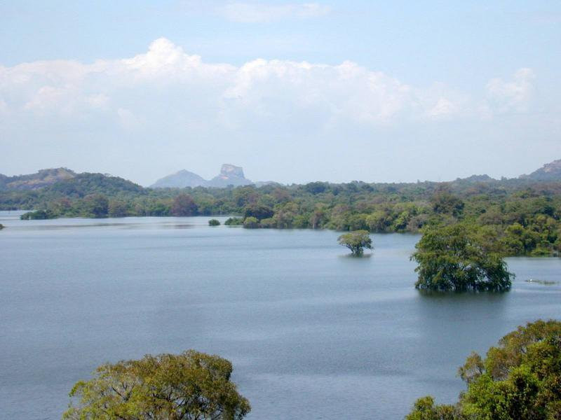 Кандалама, Шри-Ланка, фото № 51304 – фотографии Шри-Ланки