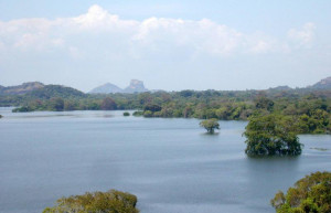 Кандалама, Шри-Ланка, фото № 51304 – фотографии Шри-Ланки