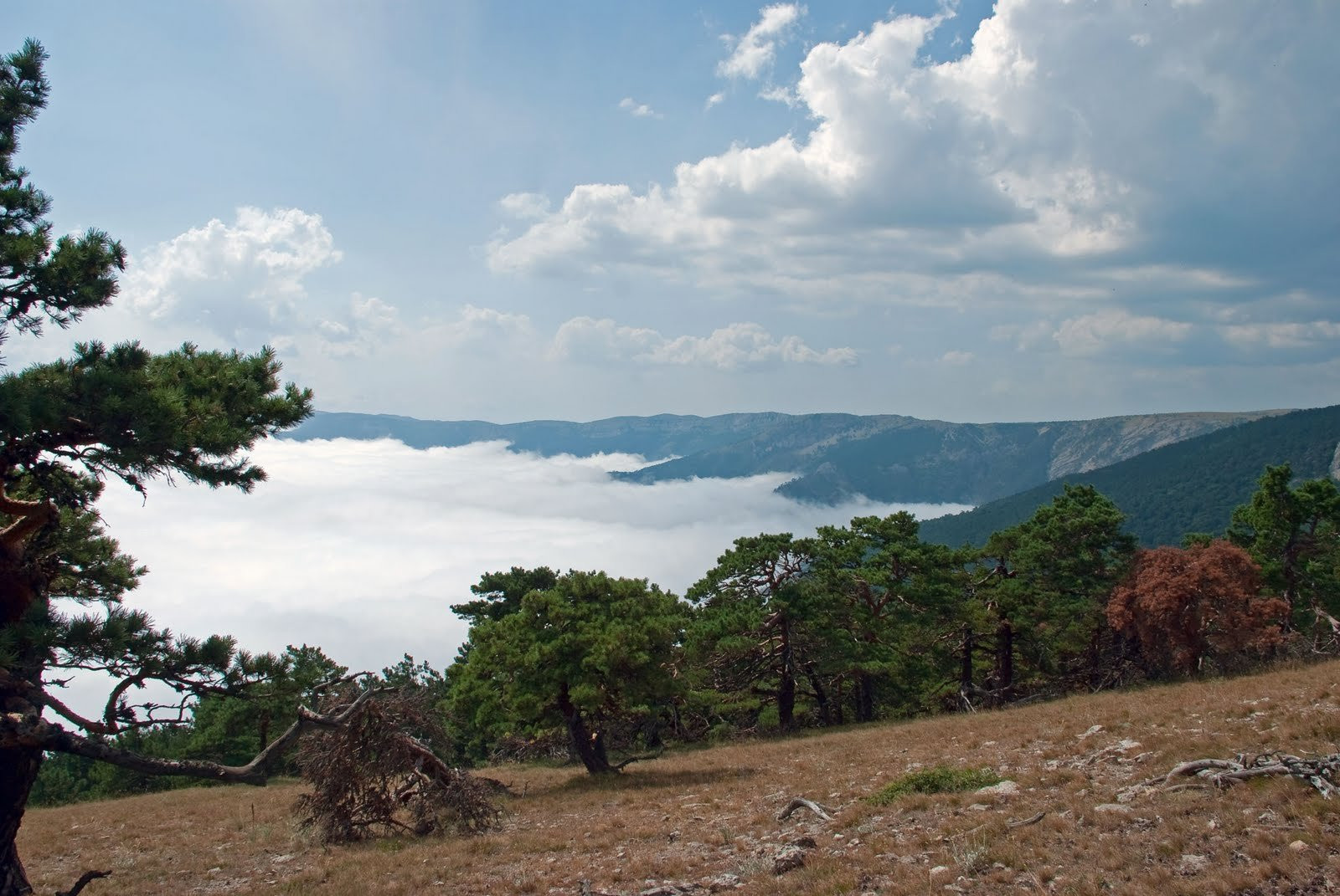 Украина, фото № 3969 – фотографии Украины