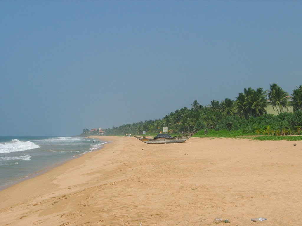 Индурува, Шри-Ланка, фото № 51161 – фотографии Шри-Ланки