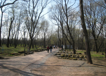 Парк Коломенское – фотографии России