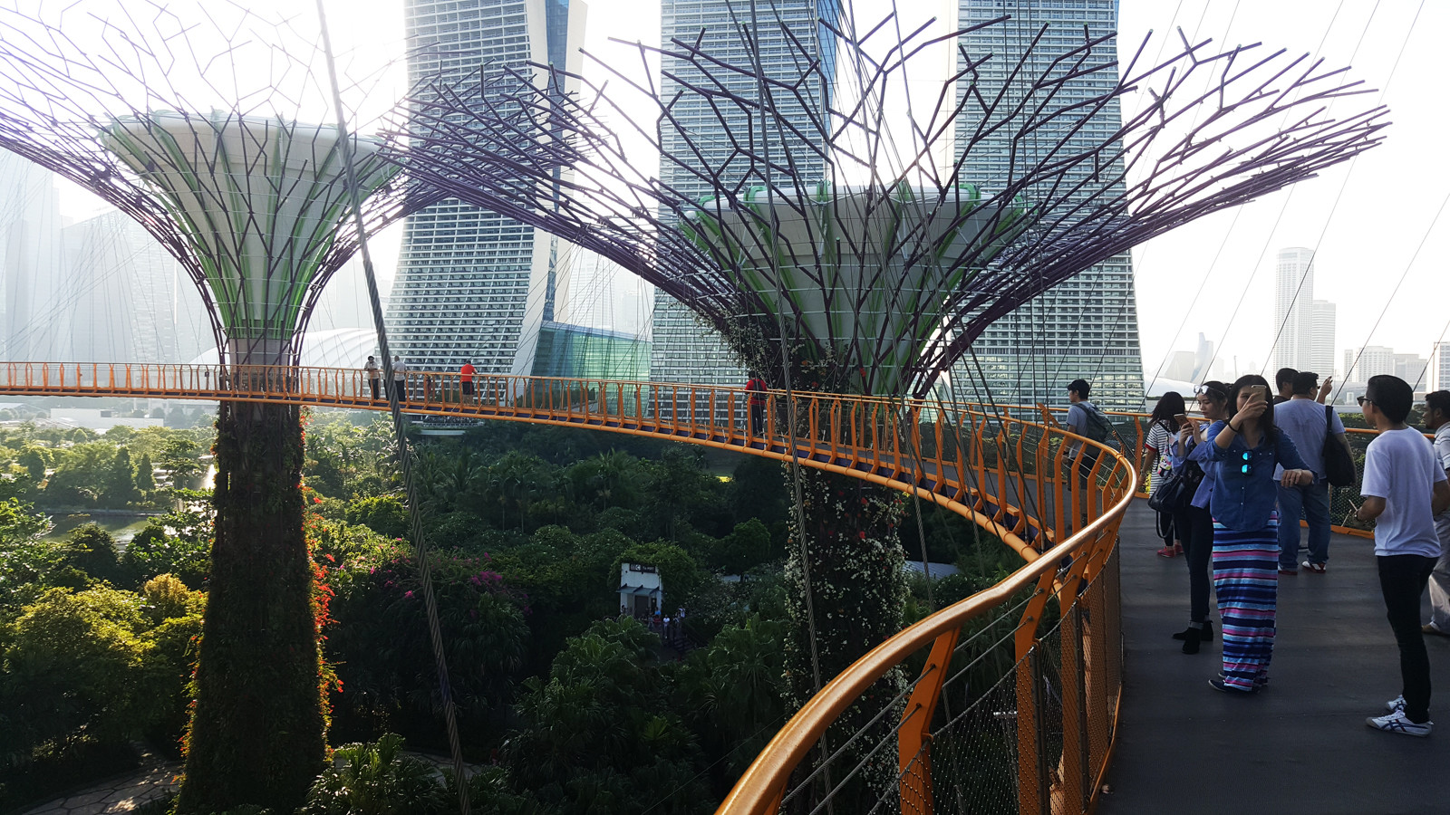 Необычный парк Gardens by the Bay. Фото 1 – фотографии Сингапура
