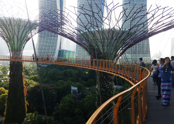 Необычный парк Gardens by the Bay. Фото 1 – фотографии Сингапура