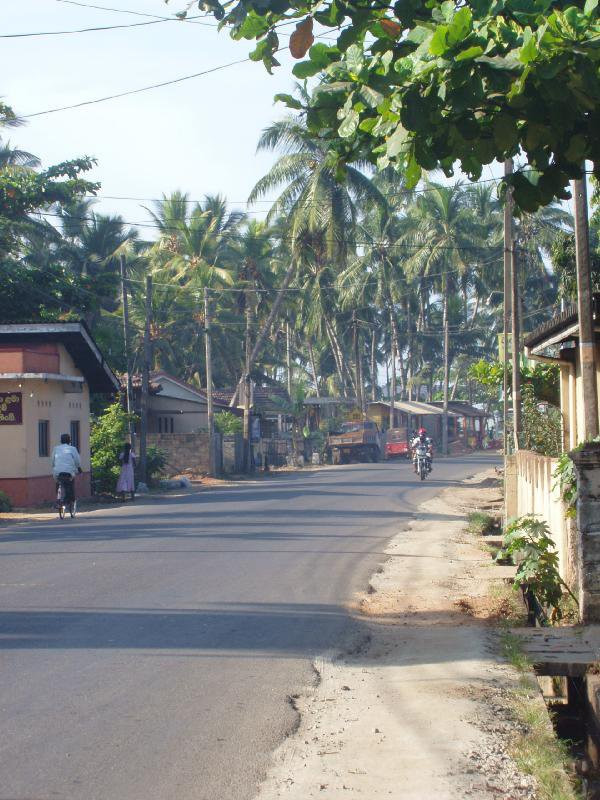 Берувела, Шри-Ланка, фото № 50736 – фотографии Шри-Ланки